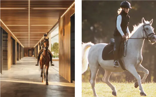 Equestrian Facilities